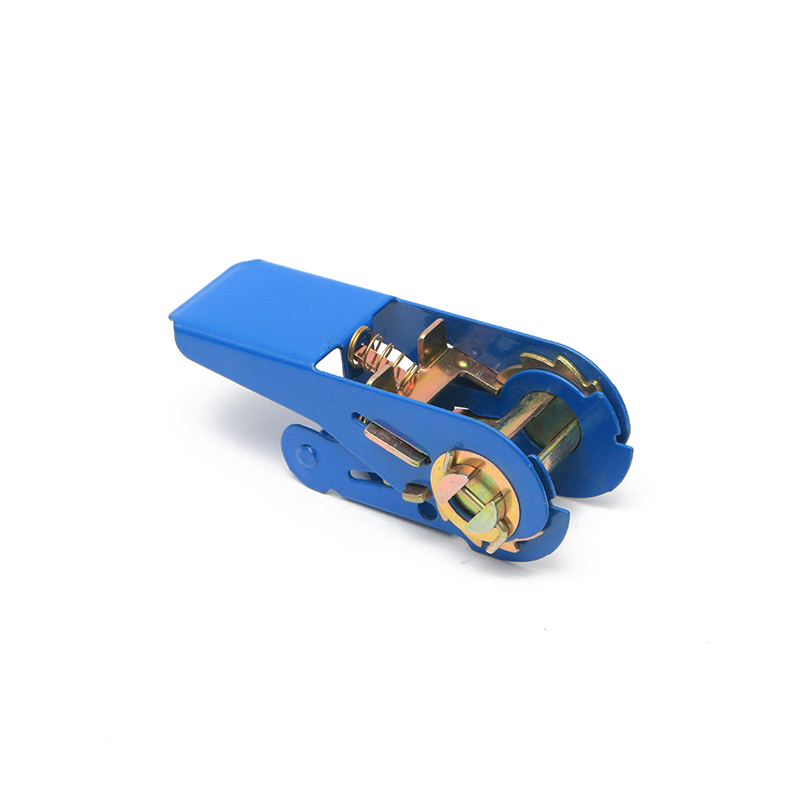 1 ইঞ্চি 25 মিমি*500 কেজি/1100lbs নীল ছোট র‌্যাচেট বাকল