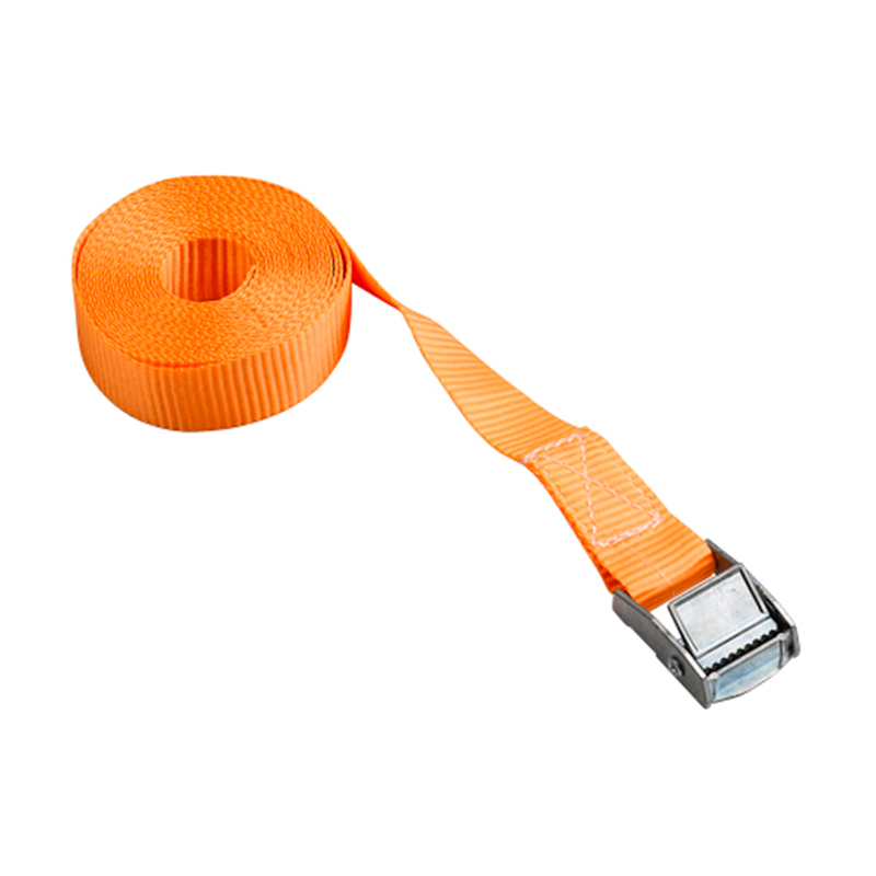 25 মিমি 250 কেজি ক্যাম বকল টাই ডাউন স্ট্র্যাপ