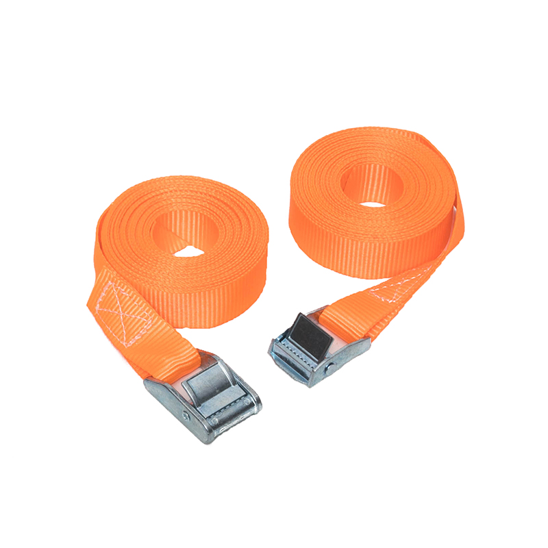 25 মিমি 250 কেজি ক্যাম বকল টাই ডাউন স্ট্র্যাপ