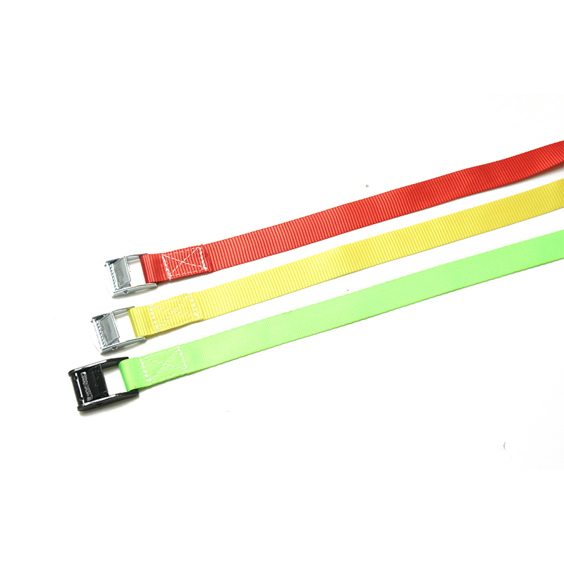 25 মিমি 250 কেজি ক্যাম বকল টাই ডাউন স্ট্র্যাপ